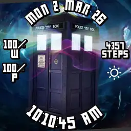 TARDIS face