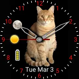 My Colby Kitty - SDJ