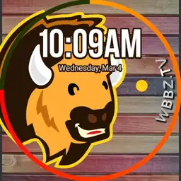 WBBZ-Buzzy
