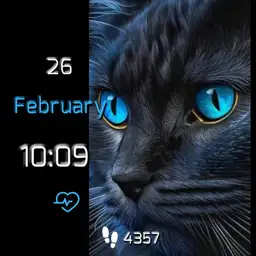 brit blue cat 2