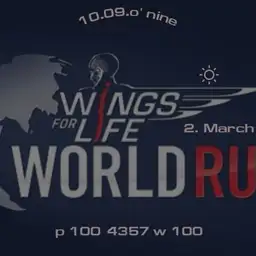 _wings for life run