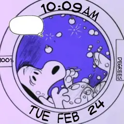 Snoopy Wash