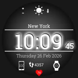 Hawk Digital Watchface