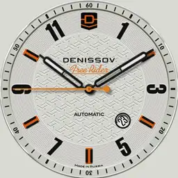 DENISSOV FREE RIDER