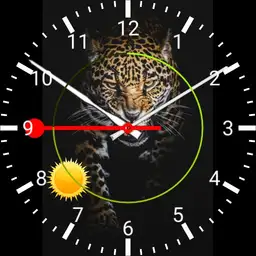 Leopard Watch