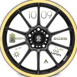 Sparco assetto gara