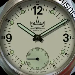 Askania Blitz Pilot 2010