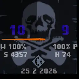 The Pirates Copy