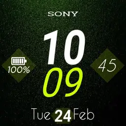 Sony Digital Copy