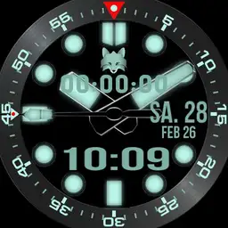 Foxy D1.0.3