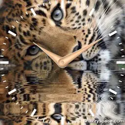 leopard3 animated plwren