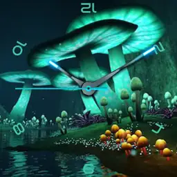 Shrooms
