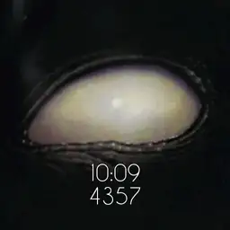 _Tool. Rotating Eye. by gaugaugexi
