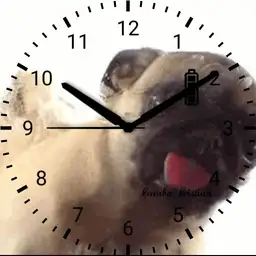 Carlino