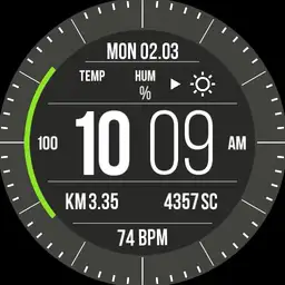 Mod.GarminRun