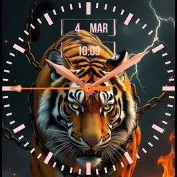 Wild Tiger watch Copy