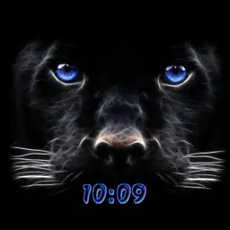 black panther