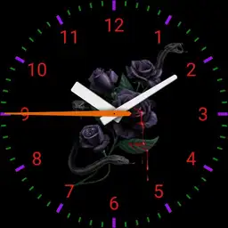 rose noir liliane