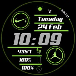 Nike Air Jordan Themeable