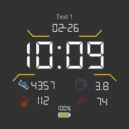 Troks Ticwatch LCD