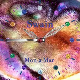 Rainbow Abalone Swain