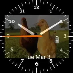 Barnyard Test