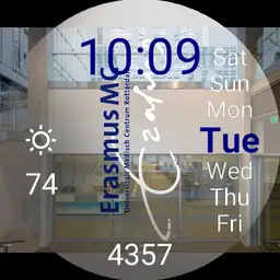Erasmus watch