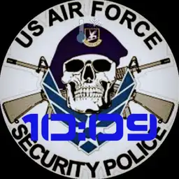 USAFSP