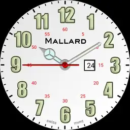mallard