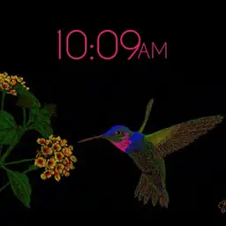 hummingbird