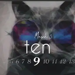 Cool Kitty