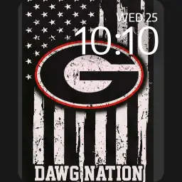 georgia flag