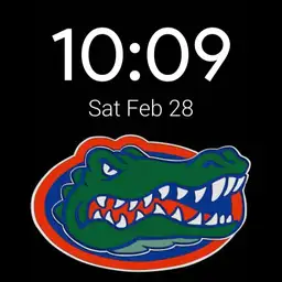 Florida Gators simple design
