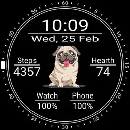 Pug