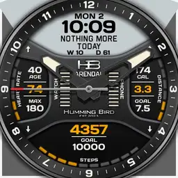 HummingBird 230825