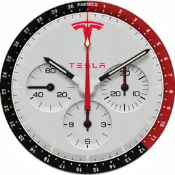 Protect Tesla white