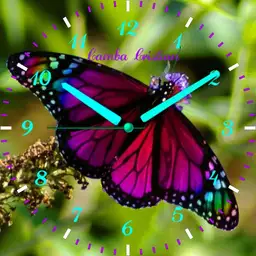 Butterfly Lucy