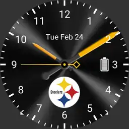 Steelers2