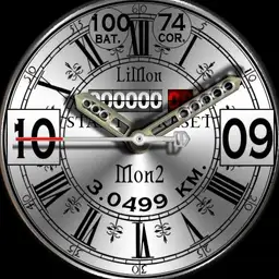 limon 13