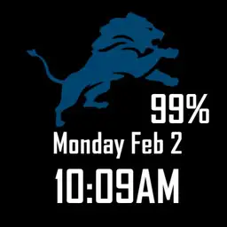 Detroit lions