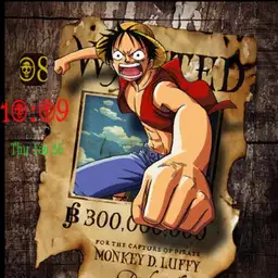 one piece
