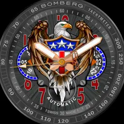 Super secret eagle watch 1776