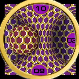 GEOMETRIC ILLUSIONS 7