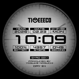 TIMEEECO GYRO 001.1