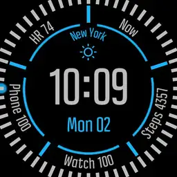 Garmin-ish