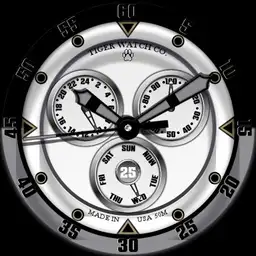 Tiger Watch Co. TW1 Chrono.