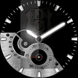 Eagle watch 2