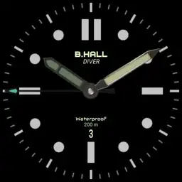 B.Hall Diver Copy