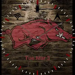 Arkansas Razorbacks wall