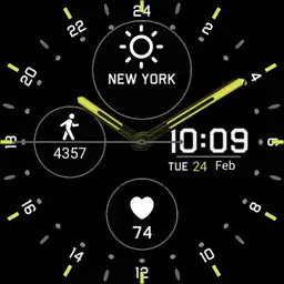 garmin